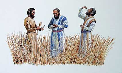 Jesus and his disciples eat grain on the Sabbath. (davidgospeldaily blog)