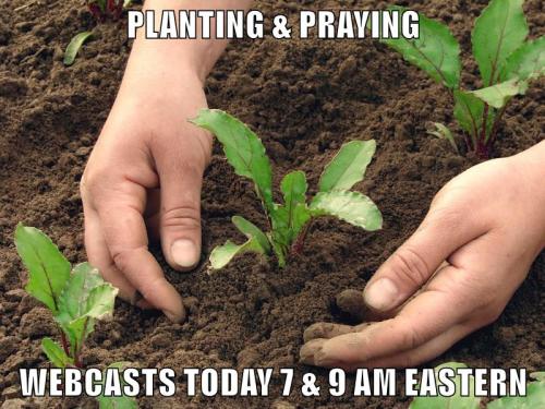 Spring Planting Webcasts